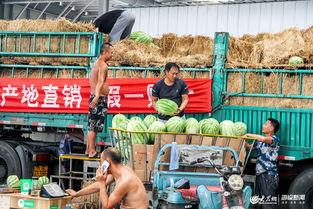 日照吃瓜墙,揭秘夏日街头的热闹风景