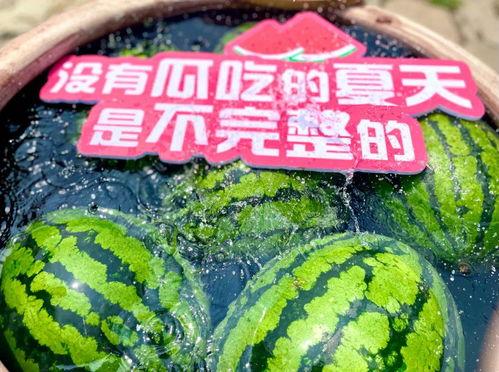 夏天吃瓜群众集合,吃瓜群众集结号