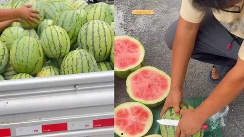 吃瓜卖,揭秘娱乐圈幕后故事与趣味瞬间