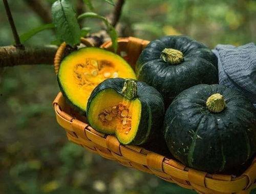 栗子蓝瓜怎么吃,探索美味新吃法