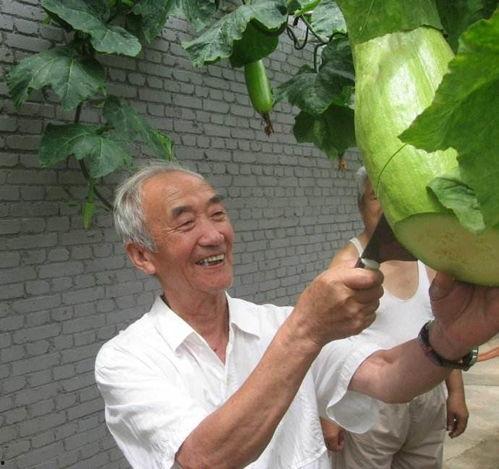 农村人吃瓜日常,揭秘农村人吃瓜日常