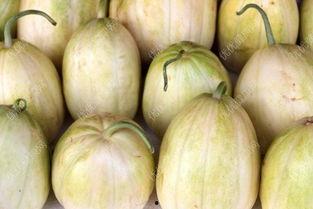 哺乳能成吃瓜吗,营养与健康的平衡之道