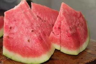 石头瓜为什么没人吃,为何成为无人问津的神秘果实？