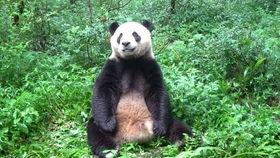 吃瓜萌萌哒,揭秘娱乐圈那些萌趣瞬间