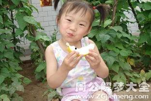 梦见喜欢吃的瓜很甜