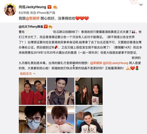 吃瓜底线vlog,Vlog带你领略网络舆论的边界