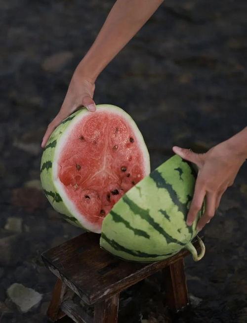 梦见瓜地里吃瓜